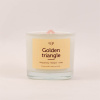 themakaars-met-edelstenen-golden-triangel_1