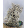 Witte Salie of White Sage 25 gram