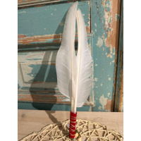 dubbele-smudge-veer-witte-zwaan_3
