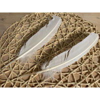 smudge-veer-witte-gans_2