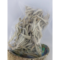 Witte Salie of White Sage 25 gram
