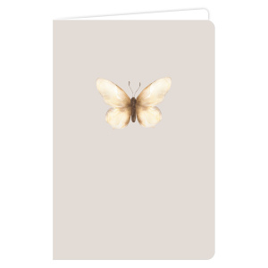 afbeelding-vlinder-8718917233689