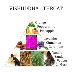 aromafume-chakraspray-5de-chakra-vishudda-keel_b