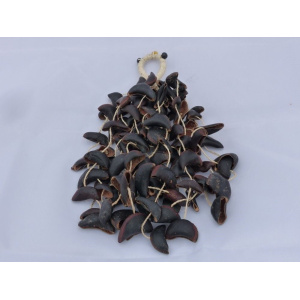 cabalonga_notenratel