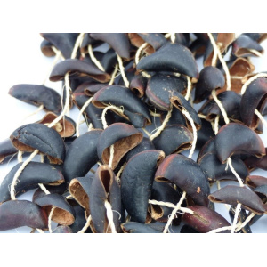 cabalonga_notenratel_detail-2