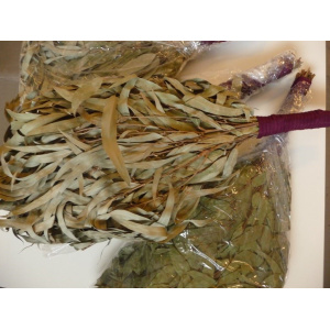 chacapa_eucalyptus-c_381327657