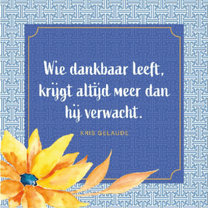 dankbaar-zijn-inzichtkaarten-deltas_8