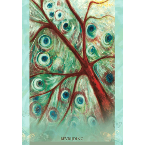 de-wijsheid-van-het-universum-orakelkaarten_e