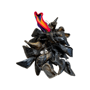 geitennagelratel_1_-_bewerkt