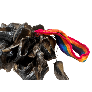 geitennagelratel_2_-_bewerkt