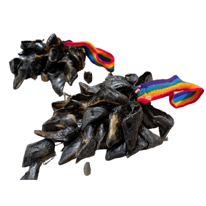 geitennagelratel_3_-_bewerkt