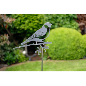 geluksvogel-goudvink-op-tuinsteker-1301-2_431252418