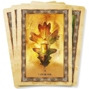 het-orakel-van-de-keltische-bomen_g