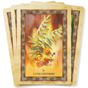 het-orakel-van-de-keltische-bomen_h