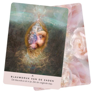 het-rozen-orakel-rebecca-campbell_2