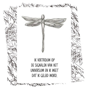 het-universum-staat-achter-je_d