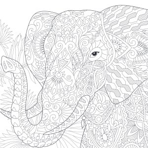kleurboek-wilde-dieren-mandala_3