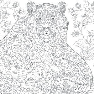 kleurboek-wilde-dieren-mandala_5