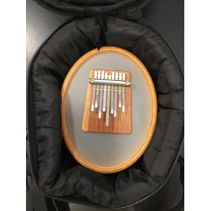 meinl-kanjira-tas-met-sansula_2