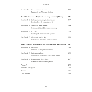 ontdek-de-sjamaan-in-jezelf_6