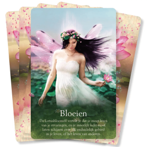 orakel-van-de-elfen_2_kopie