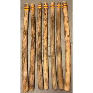 rainstick-cactus-dik-100cm-geel