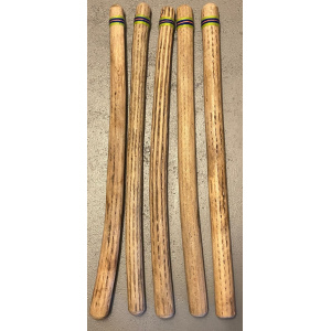 rainstick-cactus-dik-100cm-lichtgroen_1