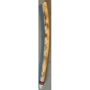 rainstick-cactus-dik-100cm_1