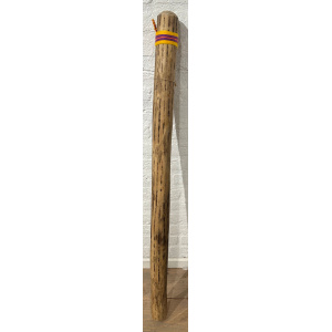 rainstick-plus-cactus-dik-100-cm-b_1