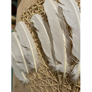 smudge-veer-witte-gans_1