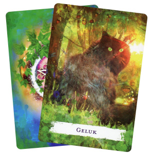 wicca-rituelen-bezweringen-orakelkaarten_7