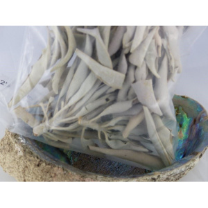 Witte Salie of White Sage 25 gram